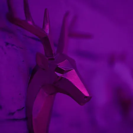 דירה Xoxo טמפרה